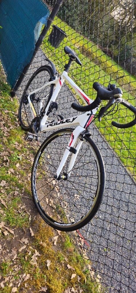 Ridley Fenix Koersfiets Carbon Frame, Vélos & Vélomoteurs, Vélos | Vélos de course, 28 pouces, Carbone, Enlèvement