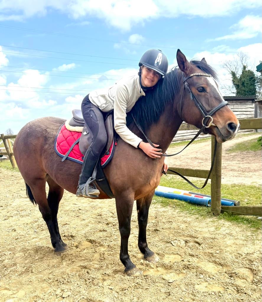 Jument American Paint Horse de 6 ans par Panel 6 N/N, Jument