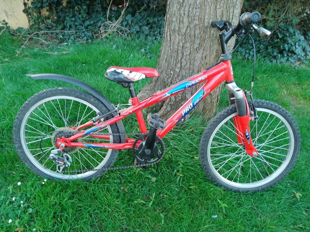 Diamond pro 20., Vélos & Vélomoteurs, Enlèvement