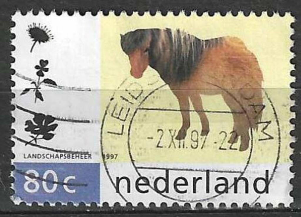 Pays-Bas 1997 - Yvert 1581 - The Shetland Pony (ST), Envoi, Affranchi