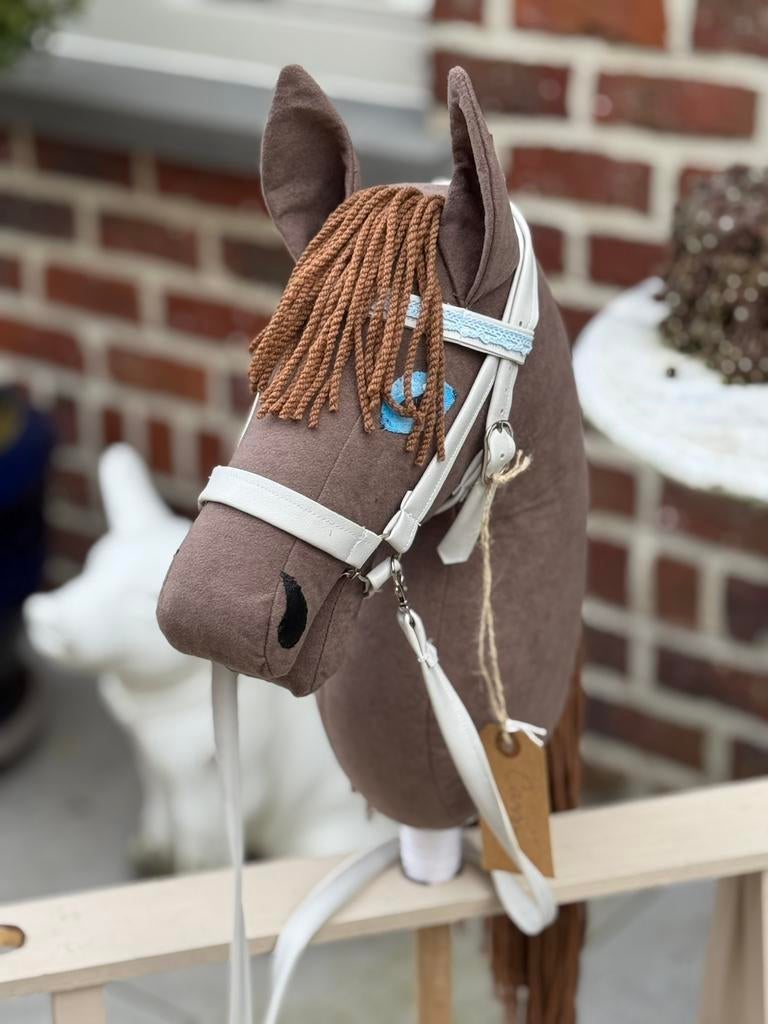 Cassi is een hobby horse, Ophalen
