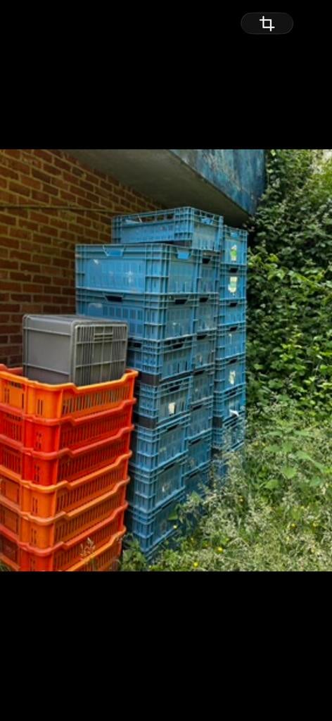 Groenten bakken gratis, Enlèvement