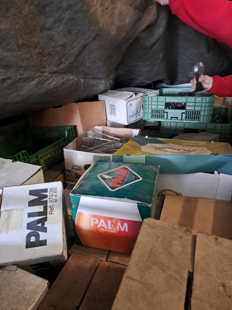 Alle soorten glazen: bier palm tuborg palm....., Verzamelen, Ophalen