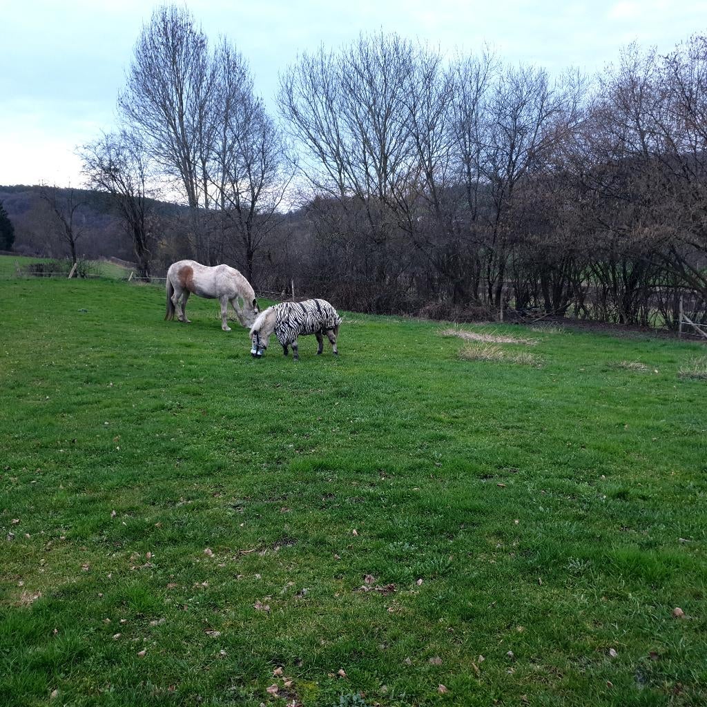 Pension pré cheval poney retraités, Ophalen, Gebruikt