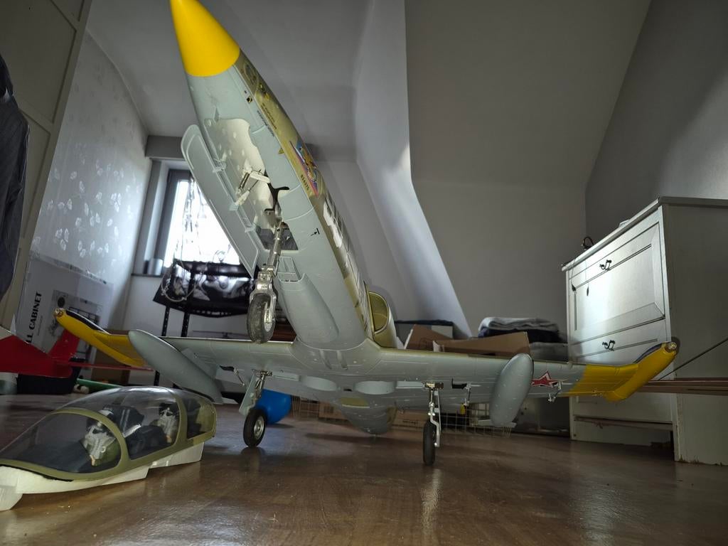 Freewing l39 albatros 6s jet edf, Hobby & Loisirs créatifs, Enlèvement