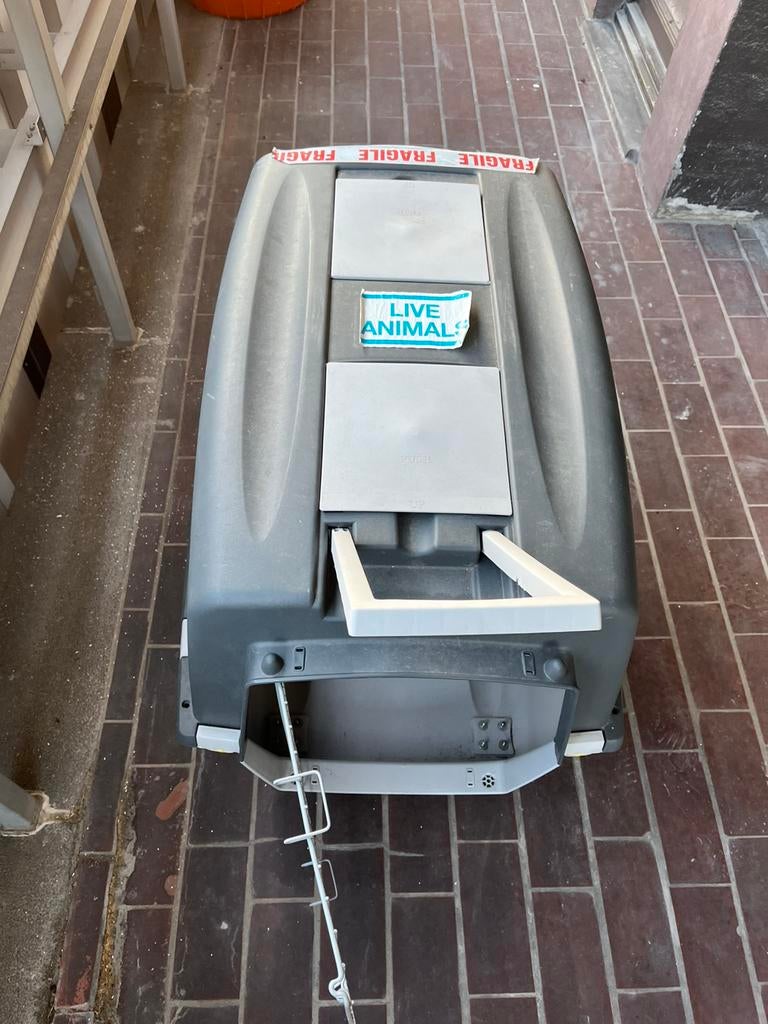 Cage de voyage pour chien, Animaux & Accessoires, Accessoires pour chiens, Enlèvement, Utilisé