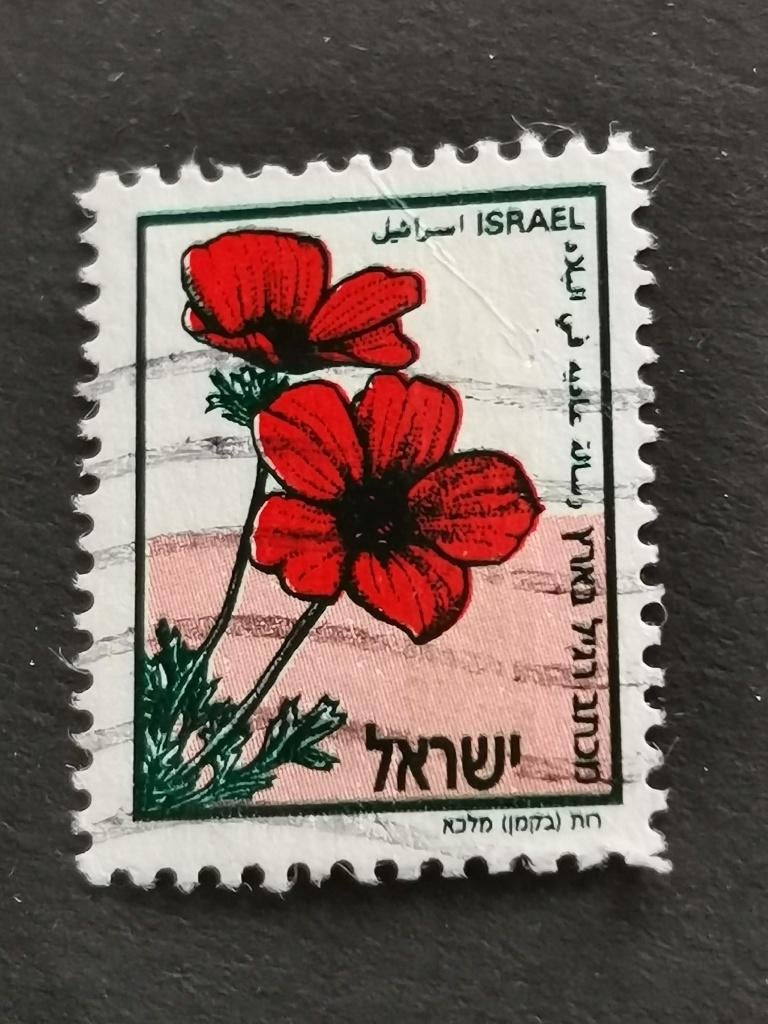 Israel 1992 - bloemen, annemoon, Ophalen of Verzenden, Gestempeld, Centraal-Azië