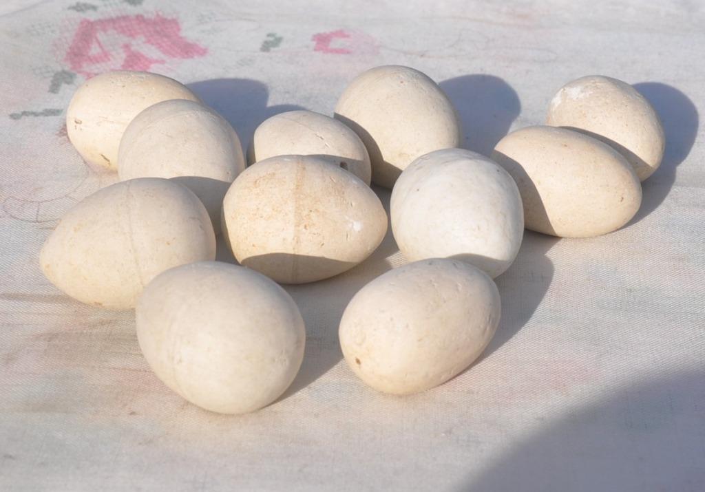 11 œufs en plâtre pour couvée de pigeon, Enlèvement ou Envoi, Comme neuf