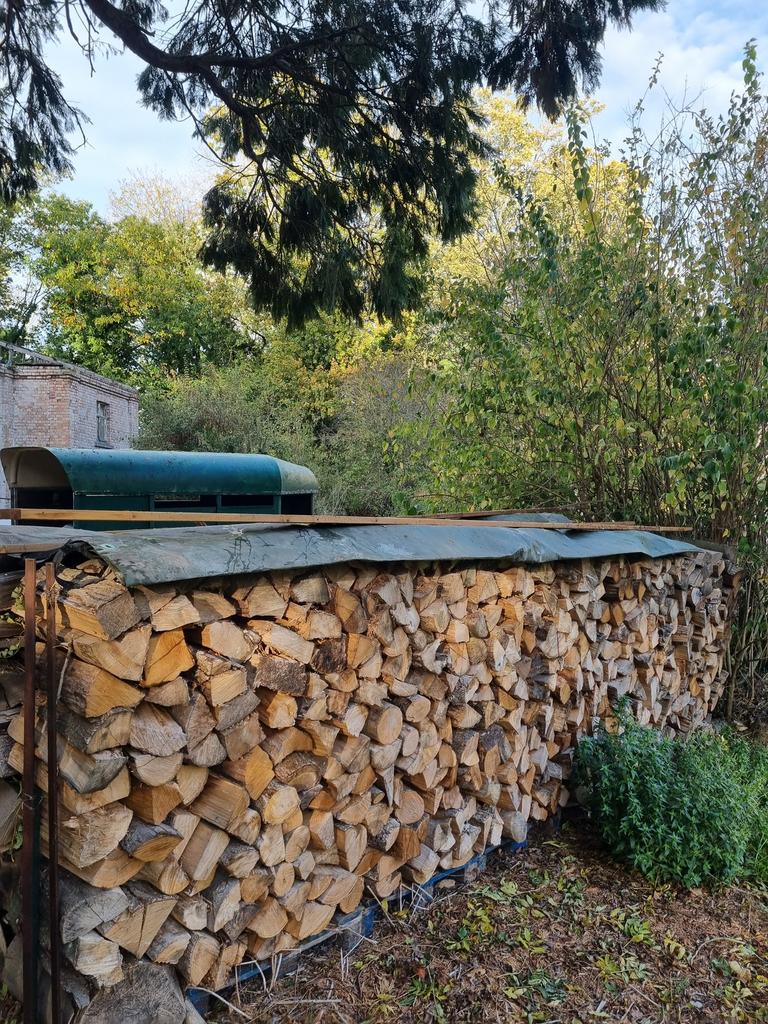 Droog brandhout - Eik - Beuk - 40/50 cm, 6 m³ ou plus, Enlèvement, Chêne, Bûches