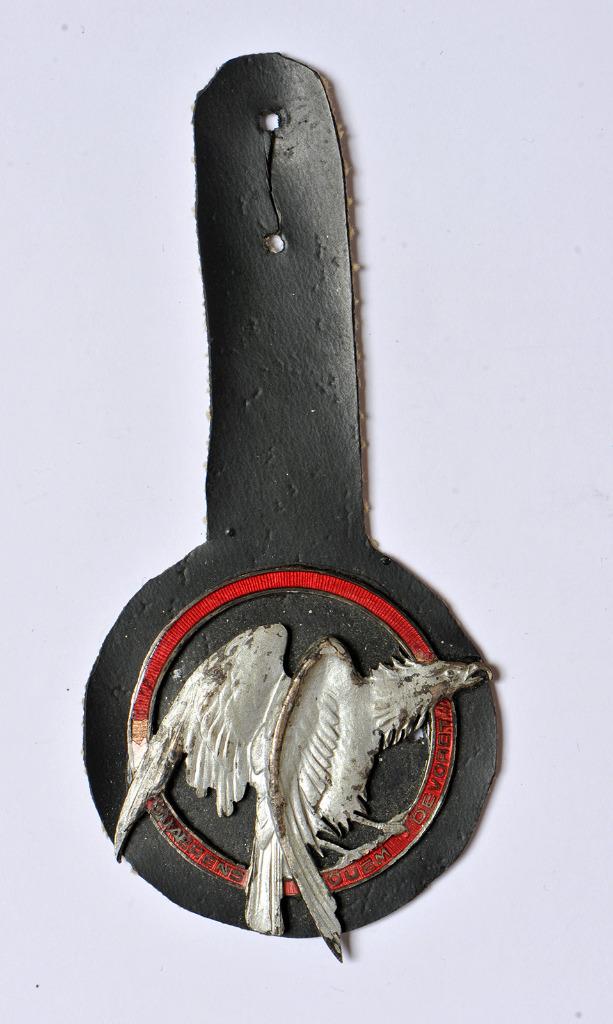 51 Escadrille / 13 Wing Missiles - breloque (1), Envoi, Armée de l'air, Emblème ou Badge