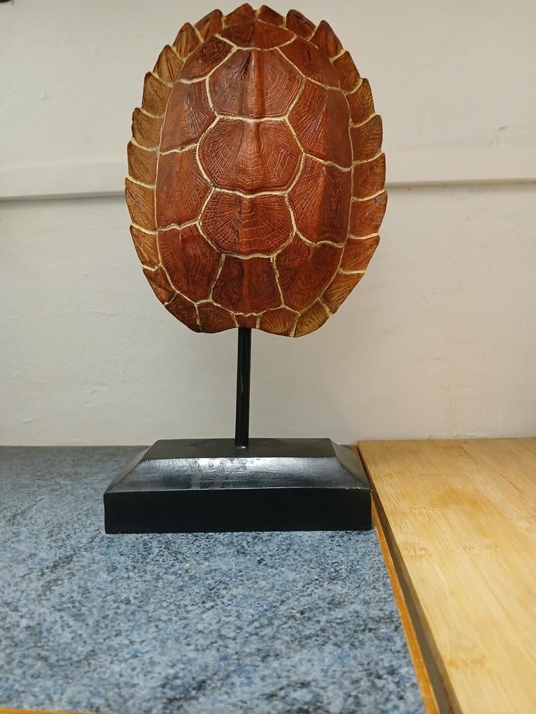 Coquille de tortue en resine, Enlèvement