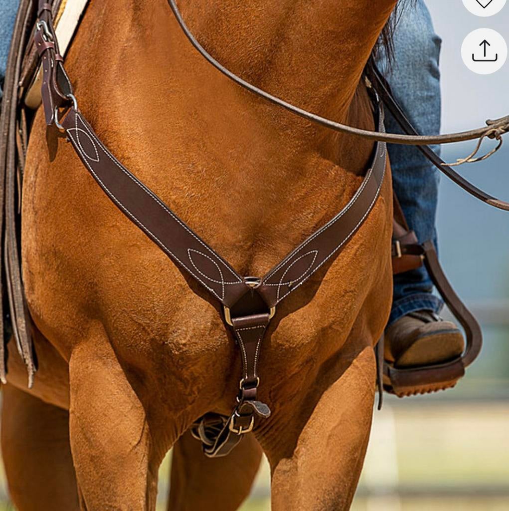 Collier de chasse typé western (brun), Enlèvement, Western
