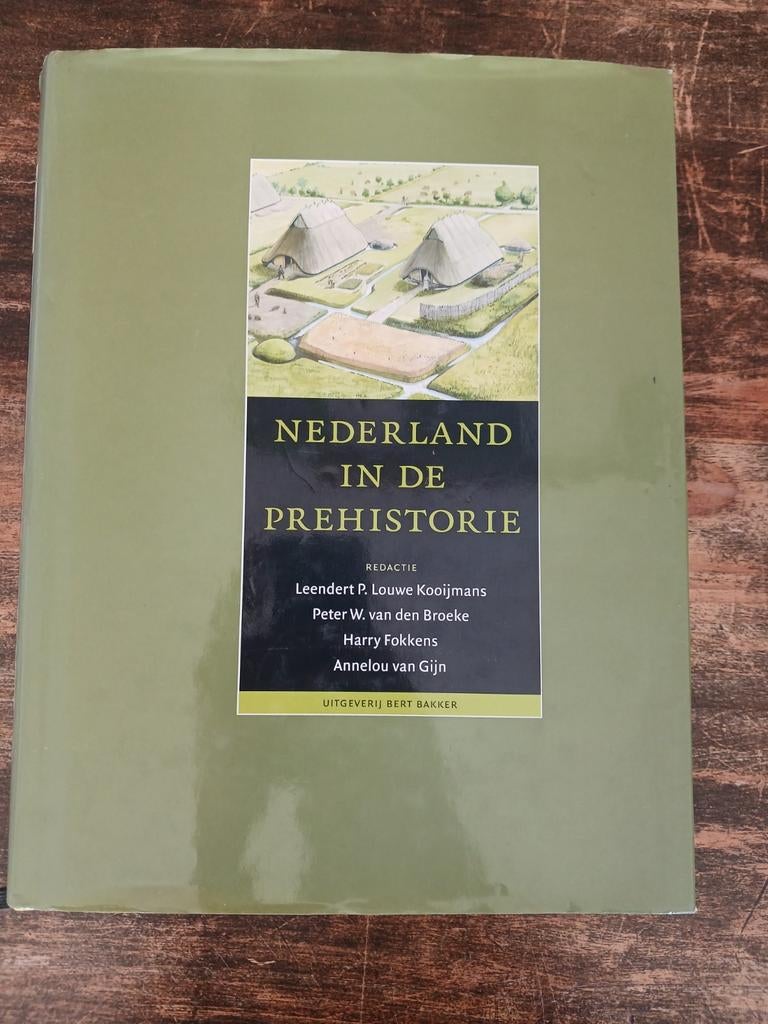 L. Kooijmans - Nederland in de prehistorie, Ophalen of Verzenden, L. Kooijmans