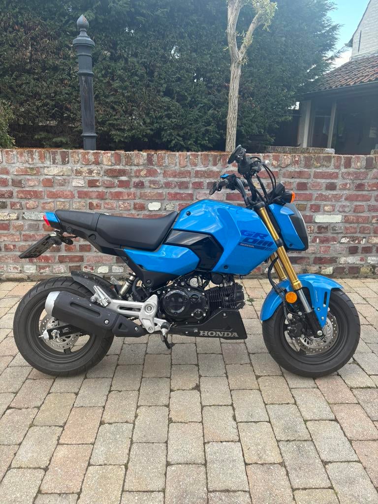 Honda grom msx125 2025 (nieuw), Motoren, Motoren | Honda, Particulier