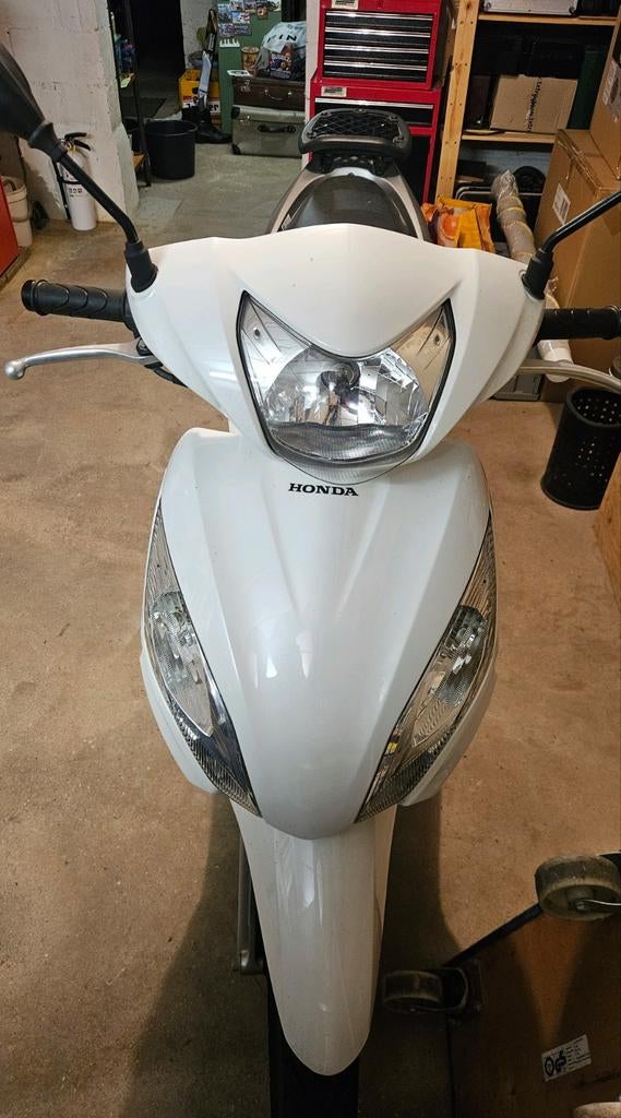 Honda Vision 50 ccm, Entreprise
