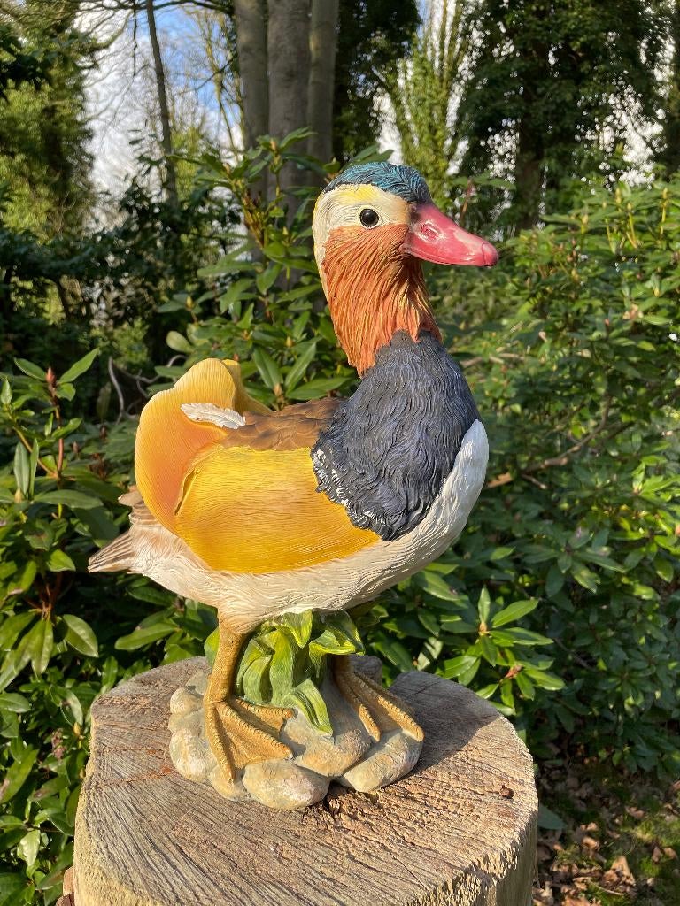 Mandarijn eend, vijver, tuin, gazon, boerderij 40cm, Tuin en Terras, Ophalen, Nieuw, Kunststof, Dierenbeeld