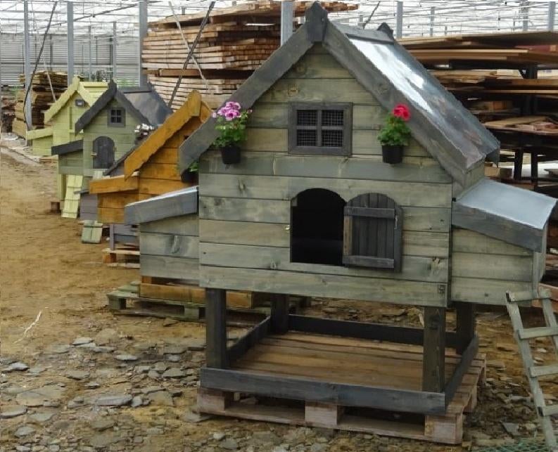 PAAZONDAG KIPPENHOK KOOP DAG, Ophalen