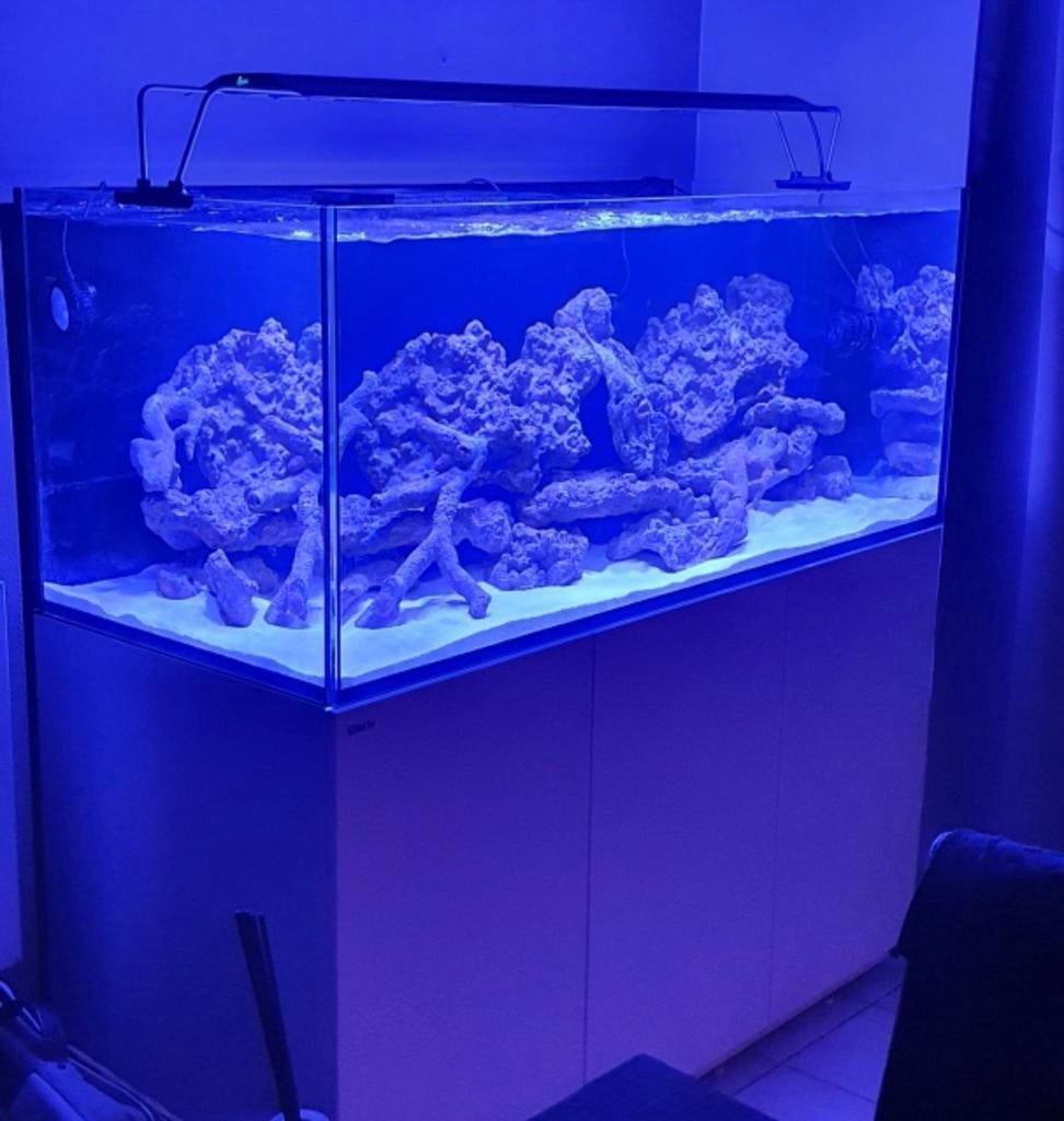 Maxspect RSX 300w + Wifi-controller + staanbeugels + ophangs, Animaux & Accessoires, Poissons | Aquariums & Accessoires, Enlèvement