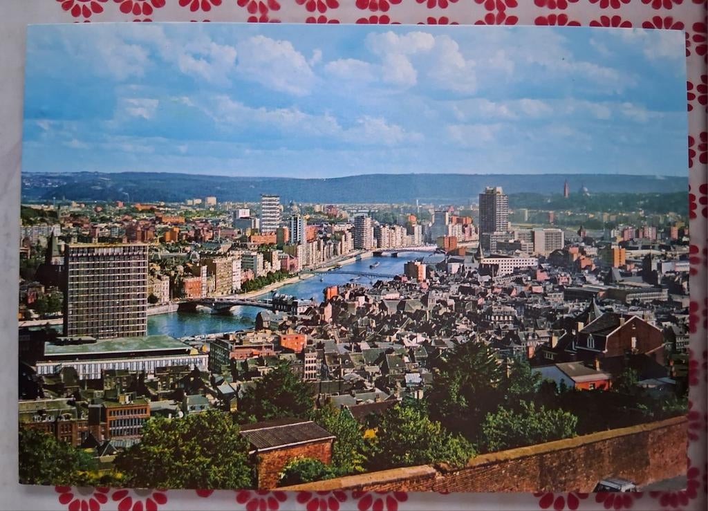 Postkaart Luik panorama, Ophalen of Verzenden, Luik