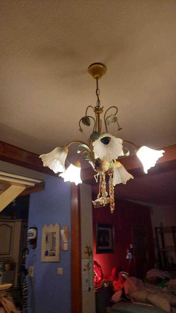 Lustres, Enlèvement