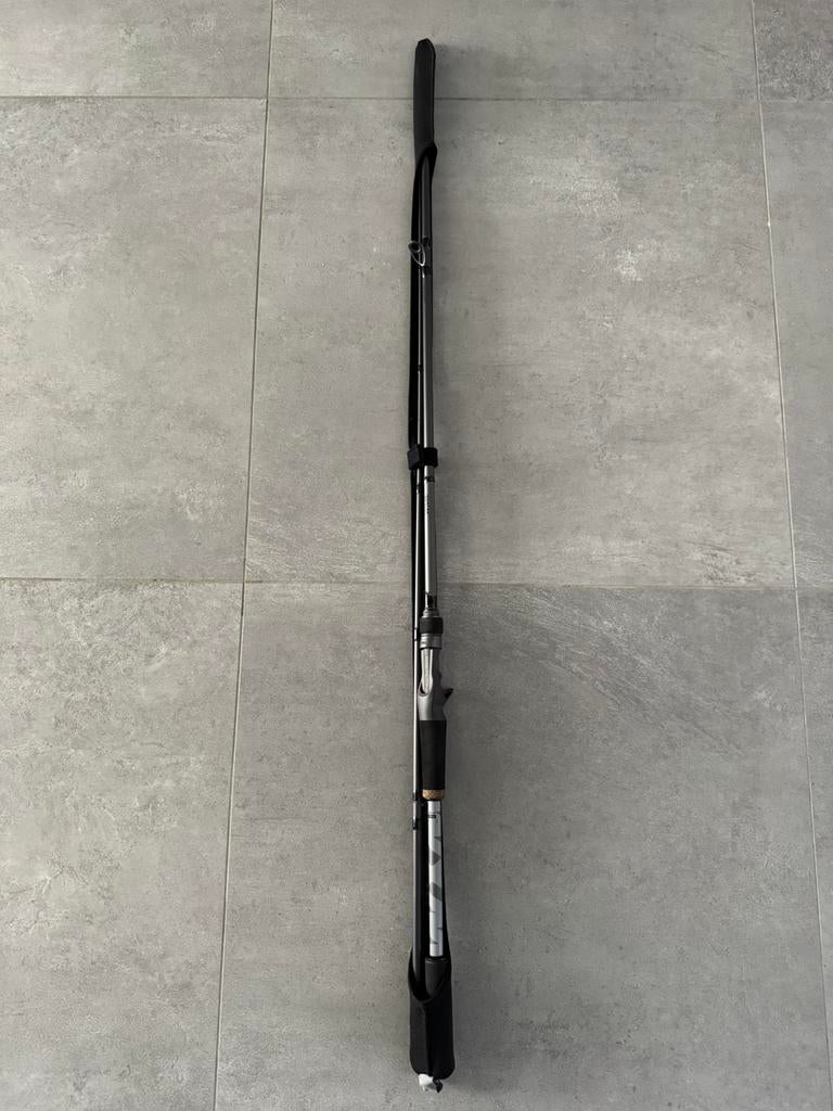 Canne casting wxm 500 220 H, Enlèvement, Comme neuf, Canne à lancer