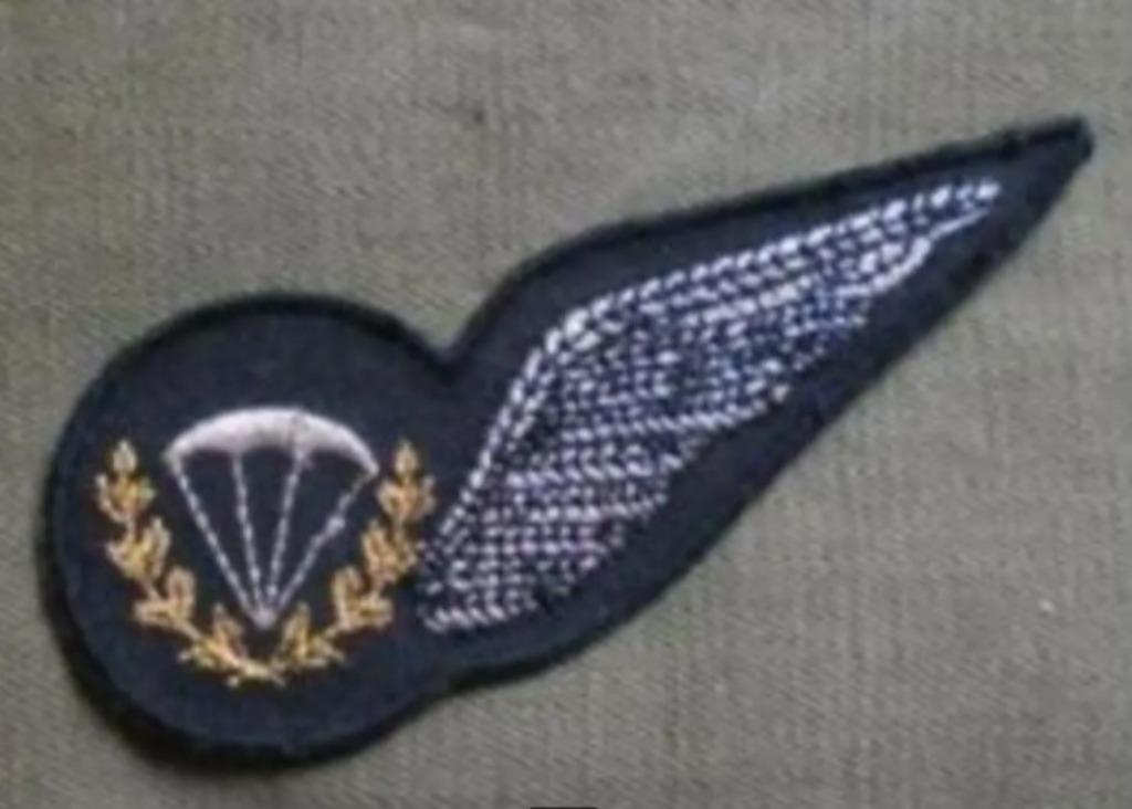 Brévet para dispatcher - Trgc Schaffen - ABL, Enlèvement ou Envoi, Armée de terre, Emblème ou Badge