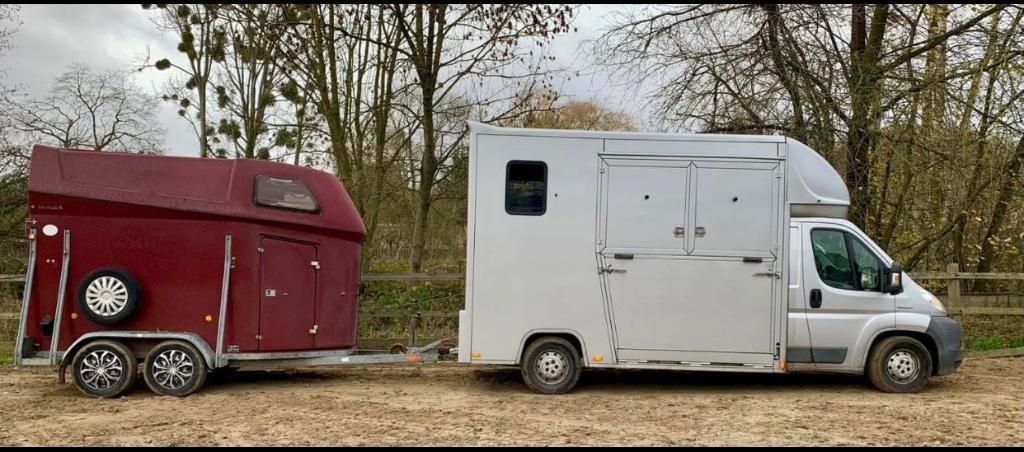 Transport courtes moyenne distance urgence veto 7/7-24h/24, Animaux & Accessoires, Chevaux & Poneys | Semi-remorques & Remorques