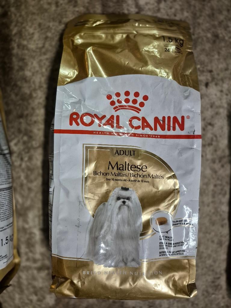 Royal Canin Maltese adulte 1,5 kg Geel, Bruxelles, Putte, Enlèvement ou Envoi, Chien