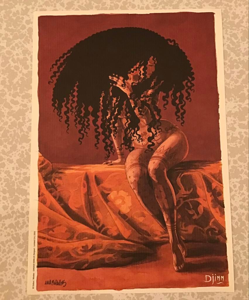 Sérigraphie Djinn Ana Miralles, Livres, Comme neuf