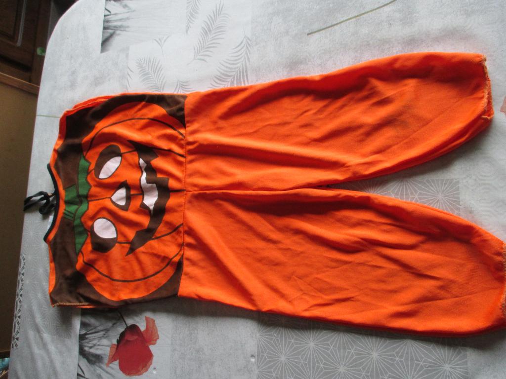 karnaval pompoen kostuum, Ophalen of Verzenden, Gebruikt, 104 of kleiner, Jongen of Meisje