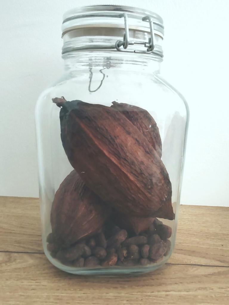Bocal décoratif De Véritables Cabosses Et Fèves De Cacao, Maison & Meubles, Accessoires pour la Maison | Cloches, Comme neuf, Enlèvement ou Envoi