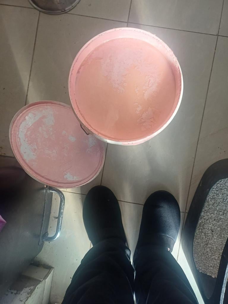 Peinture levis rose, Bricolage & Construction, Enlèvement