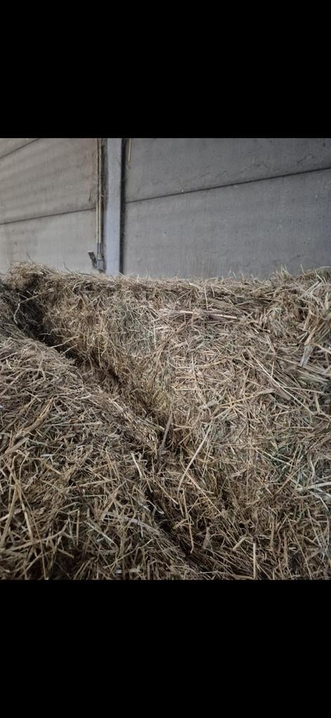 Foin à vendre