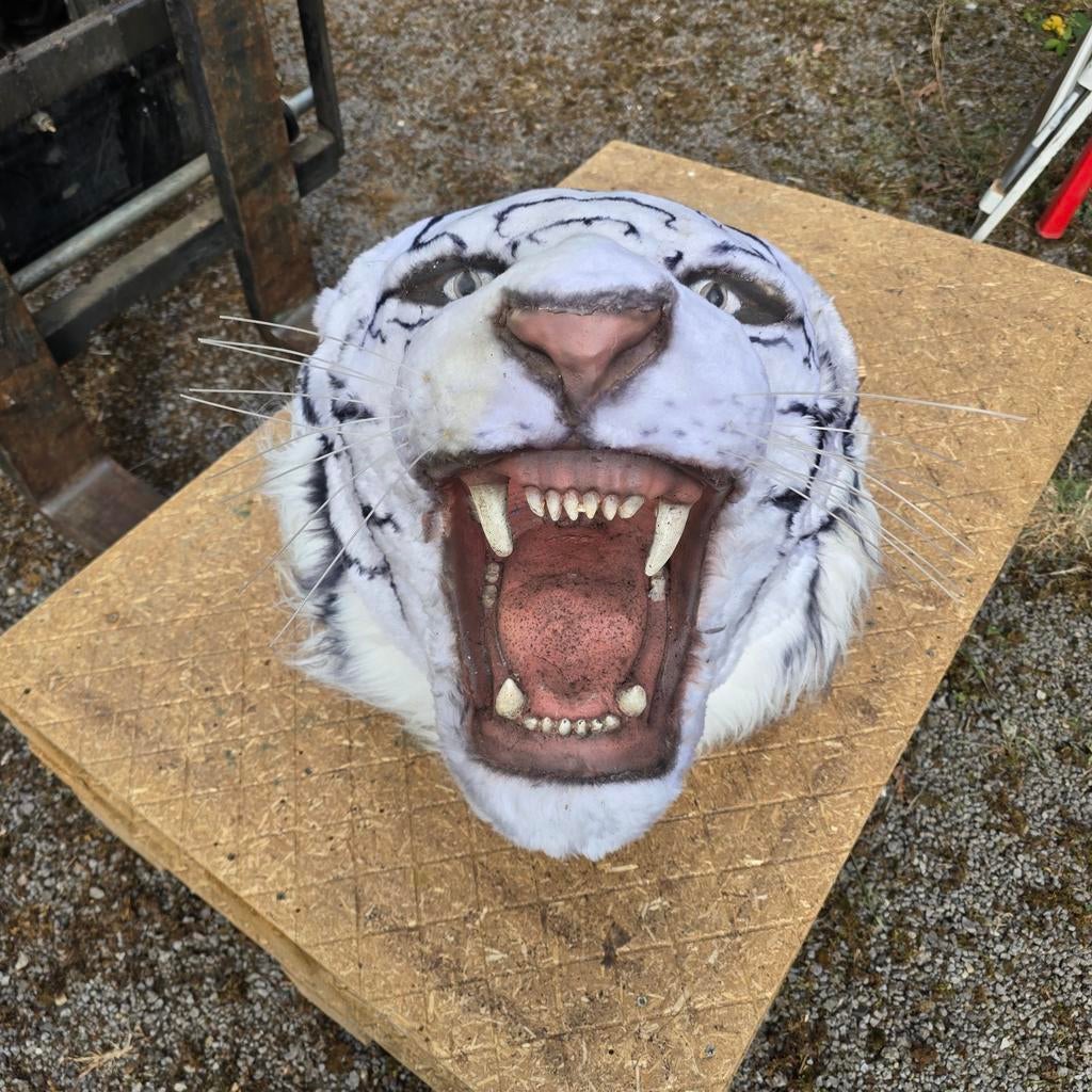 Tijger dieren decor feestartikelen pipowagen circustent dier, Ophalen, Zo goed als nieuw