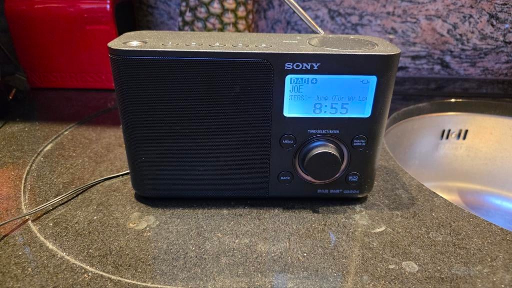 SONY Draagbare DAB/DAB+-radio, Ophalen of Verzenden, Radio