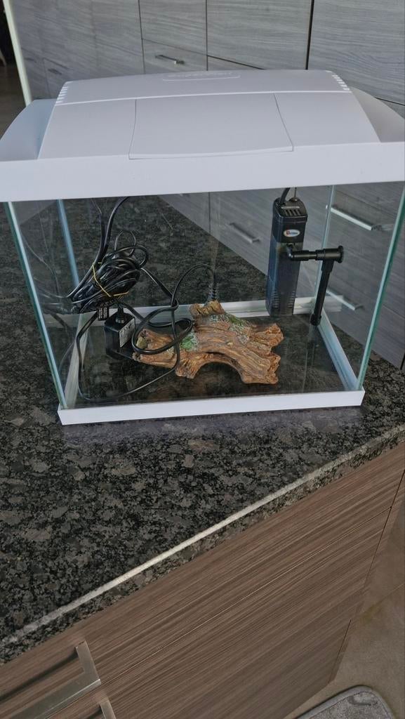 Aquarium wit, Dieren en Toebehoren, Ophalen of Verzenden