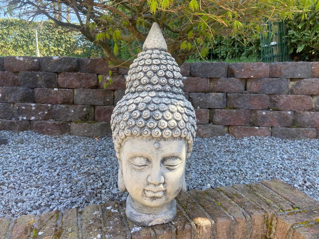 Boeddha hoofd,, Tuin en Terras, Tuinbeelden, Nieuw, Boeddhabeeld, Beton, Ophalen