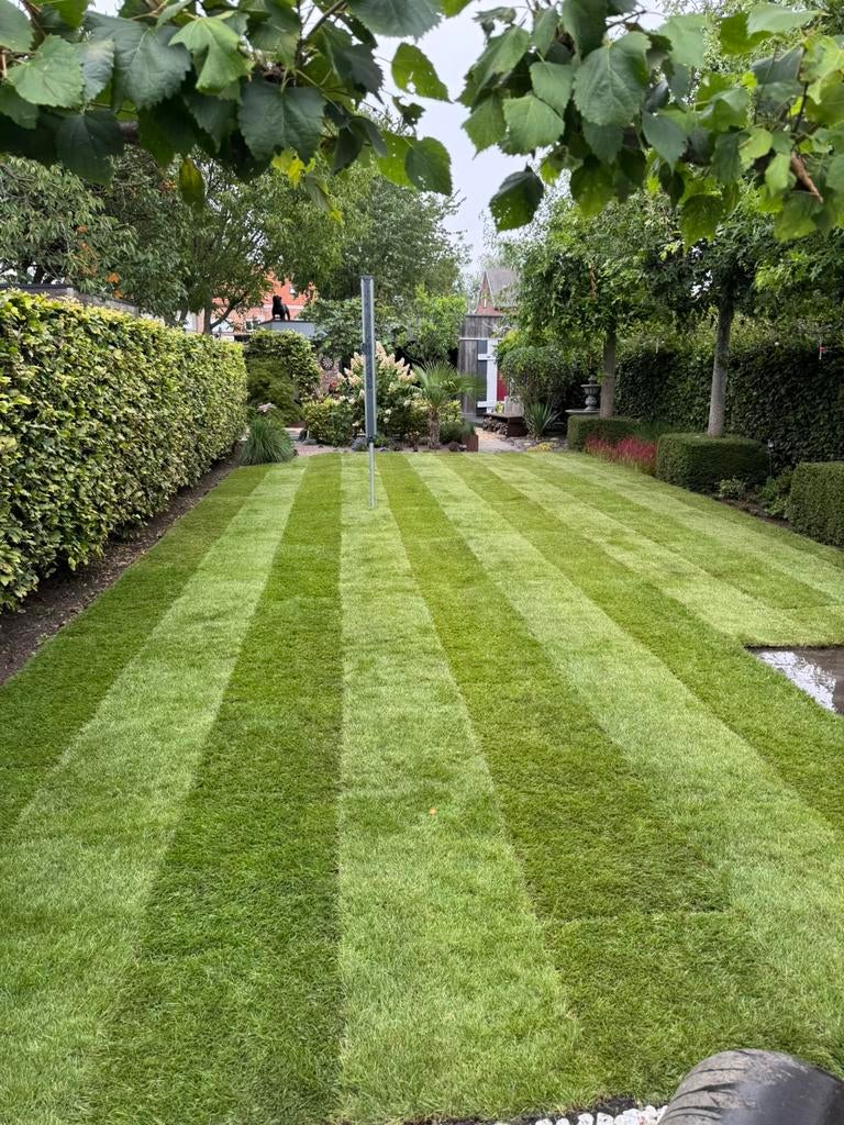 Tuinman Gras onderhoud en aanleg, Ophalen, Nieuw, Gras