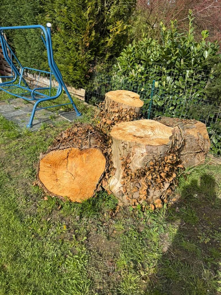 Grumes de sapin, Jardin & Terrasse, Enlèvement
