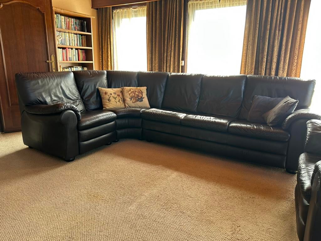 Hoeksalon Buffelleer, Huis en Inrichting, Ophalen, Gebruikt, Leer