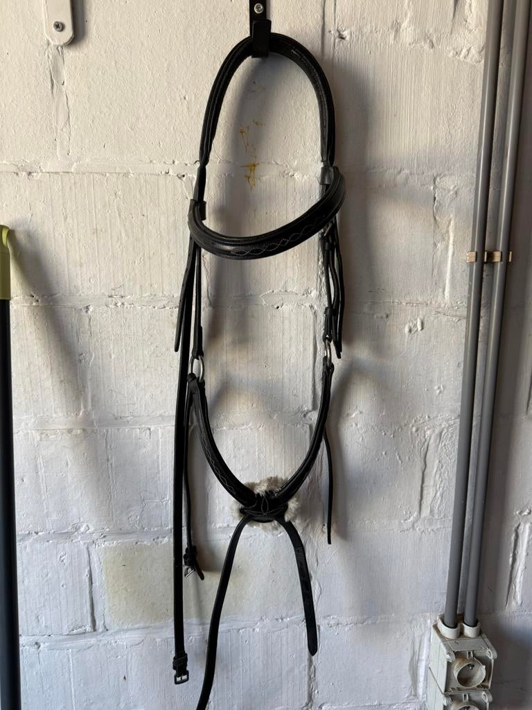 Mexicaans hoofdstel, Dieren en Toebehoren, Ophalen, Nieuw