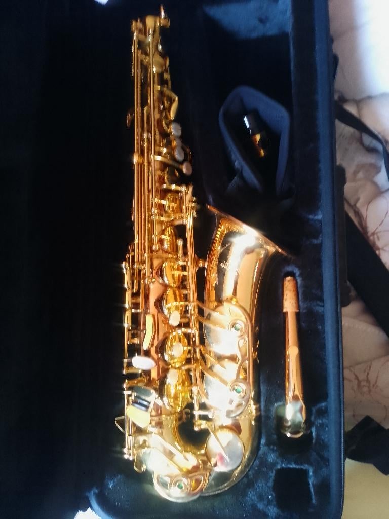 saxofoon, Ophalen of Verzenden, Gebruikt, Alt, Met koffer