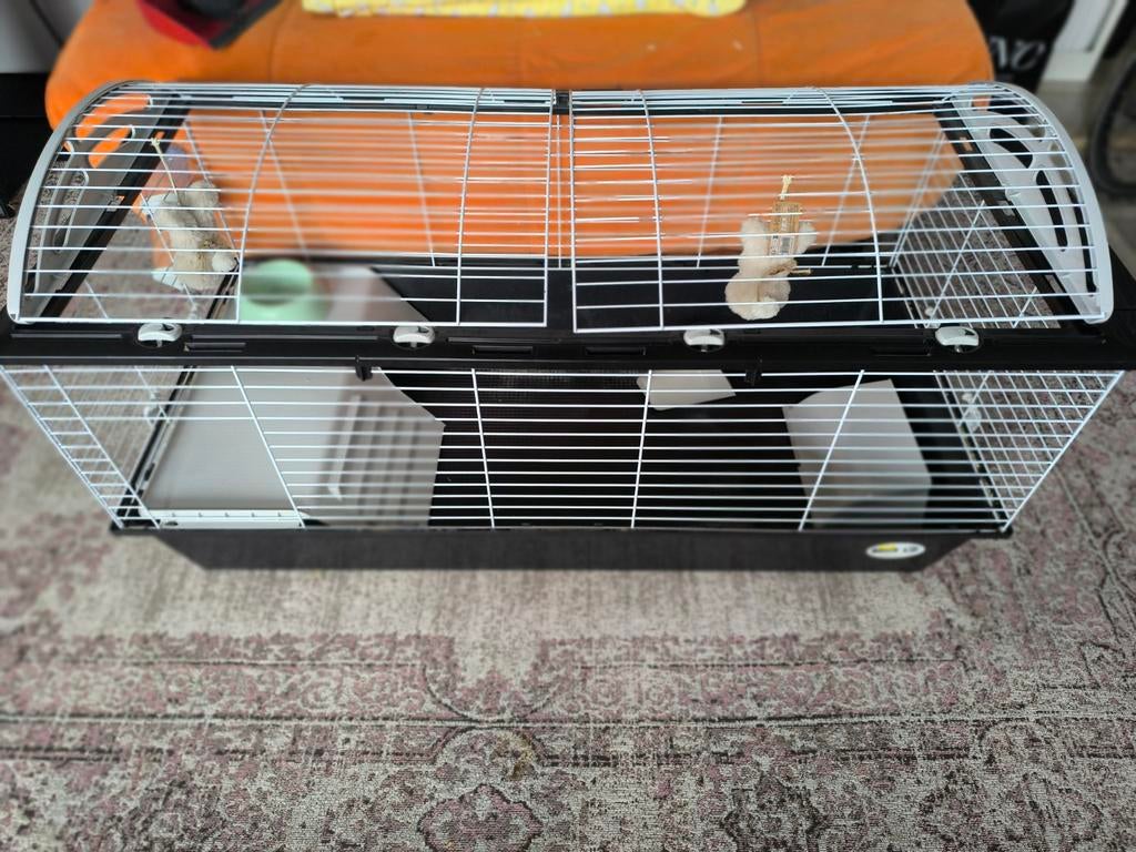 Konijnenkooi 120x60x50 cm – zo goed als nieuw