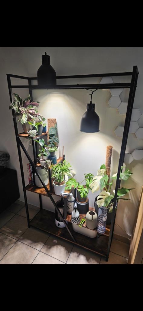 Setup et matériel pour culture de plantes tropicales, Maison & Meubles, Plantes d'intérieur, Enlèvement