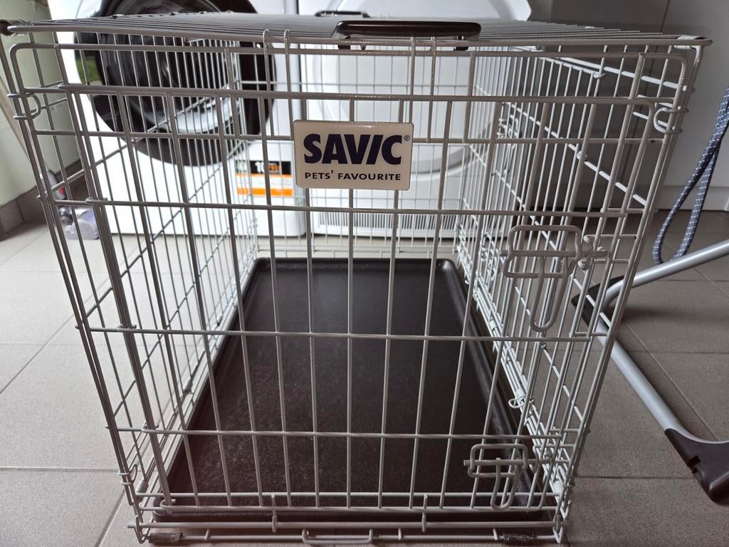 Savic hondenbench, Enlèvement