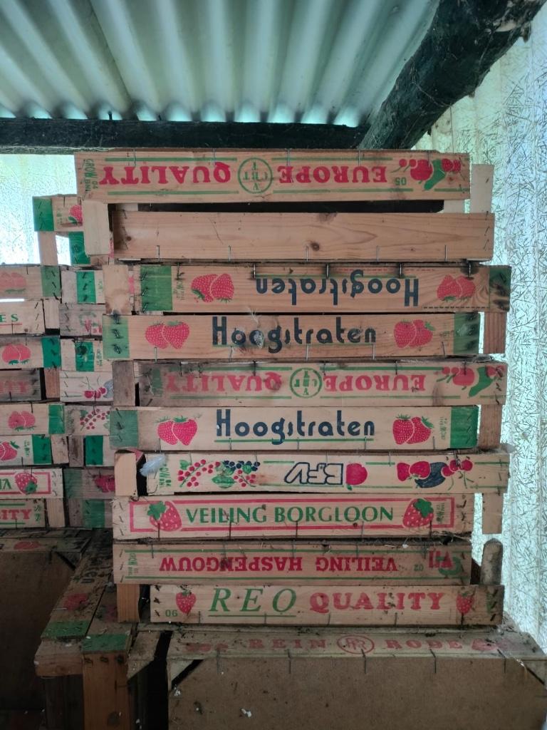 Houten bakjes kisten fruitkratten, Minder dan 50 cm, Gebruikt, Minder dan 50 cm, Ophalen of Verzenden