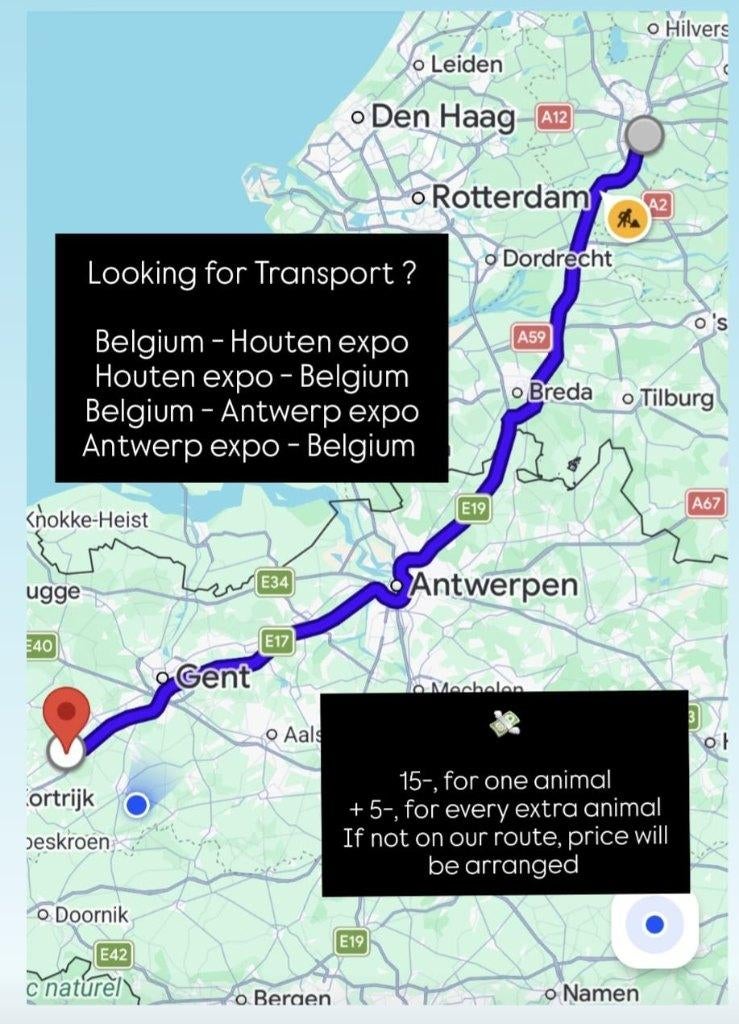Wij bieden transport (reptielen en meer) naar/van België, Animaux & Accessoires, Autres espèces