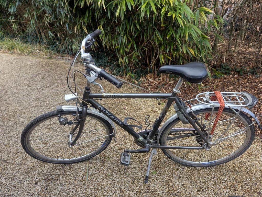 Gazelle Medeo in goede staat, Ophalen, Gazelle