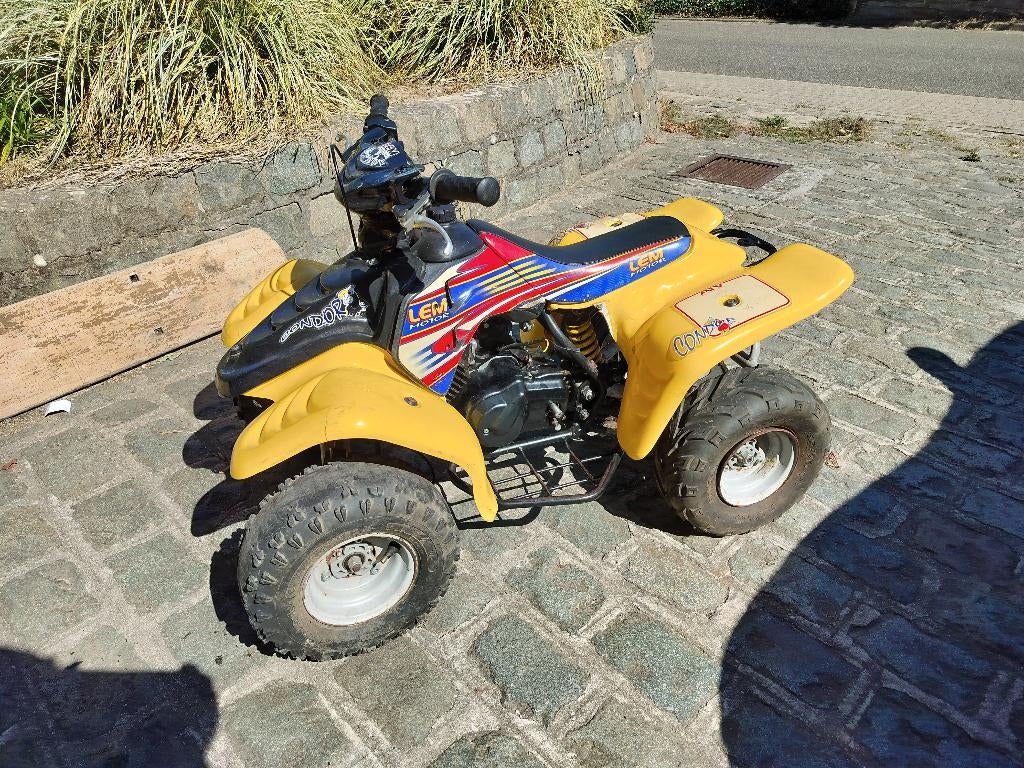 LEM quad condor 50cc, Motoren, 50 cc