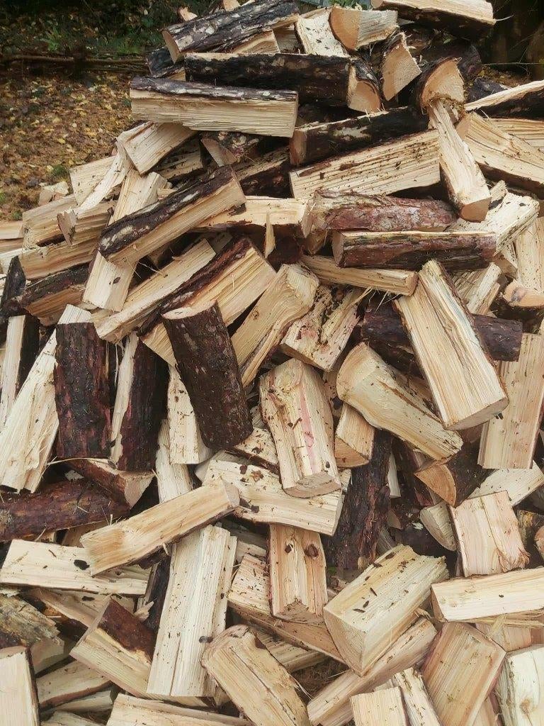 brandhout mast/den, Jardin & Terrasse, Bois de chauffage, 6 m³ ou plus, Enlèvement, Autres essences de bois, Bûches